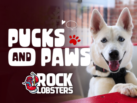 More Info for Athens Rock Lobsters vs. Monroe Moccasins