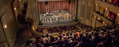 Golden Ticket-Showcase6.png