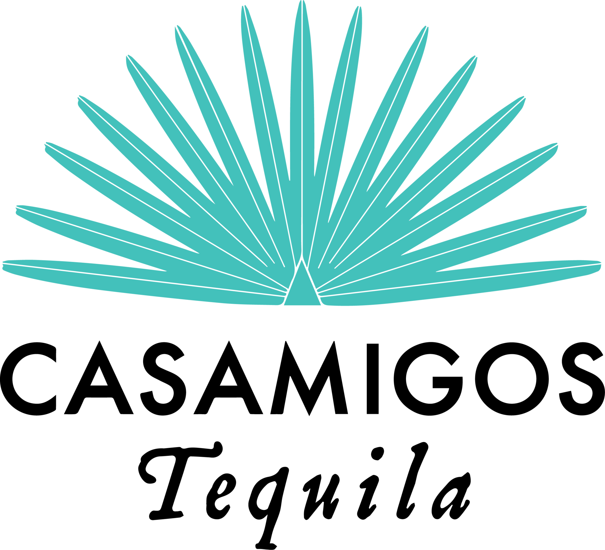 Casamigos Logo